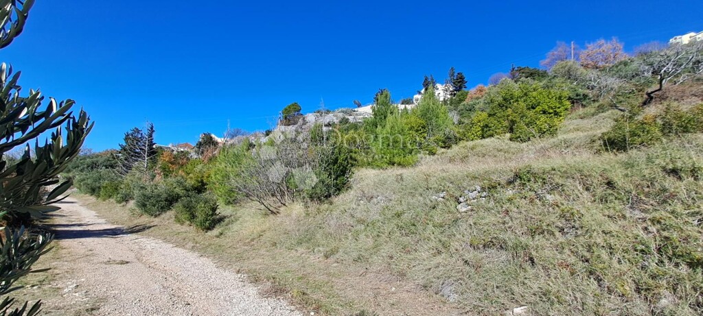 Image 6189278 - 5