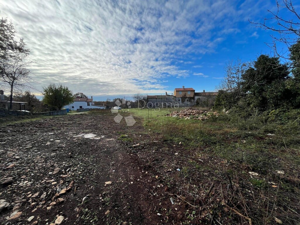 Image 6189293 - 5