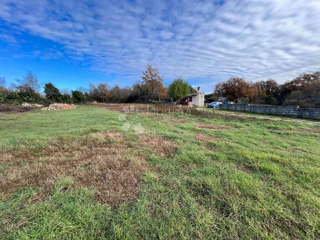 Image 6189293 - 2
