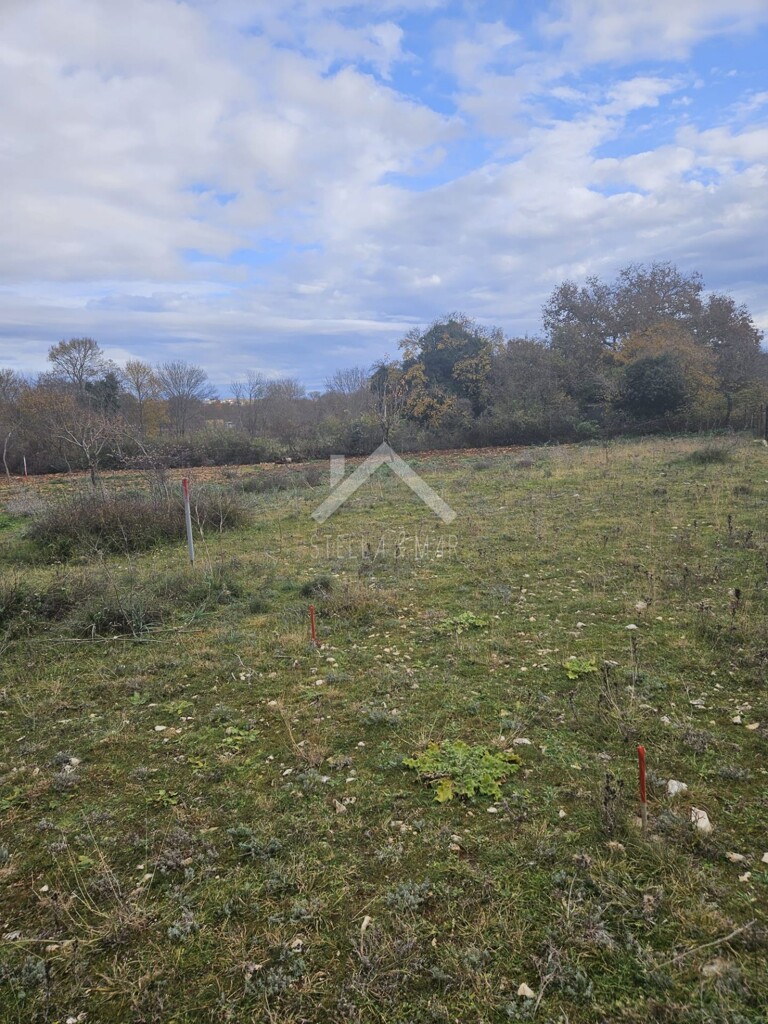 Image 6189324 - 1