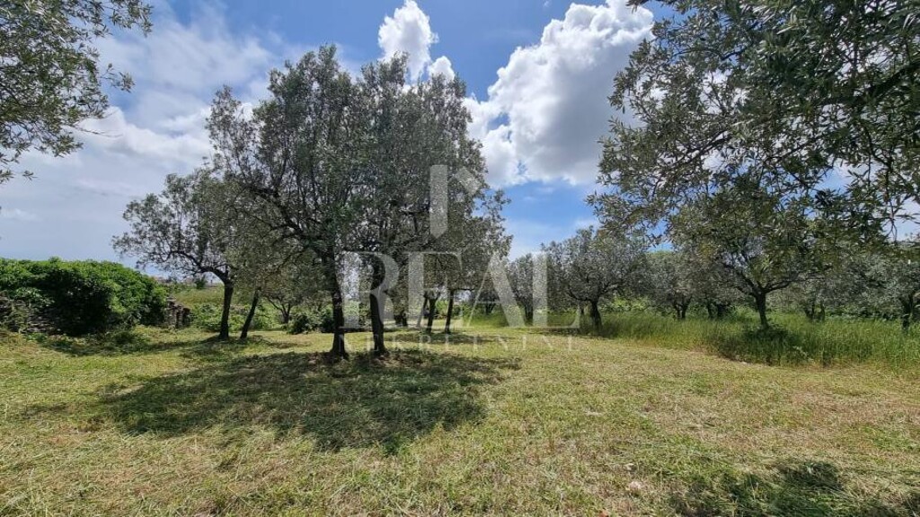 Image 6189368 - 3