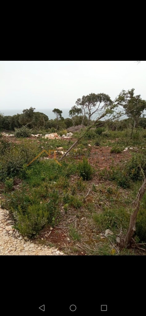 Image 6189456 - 3