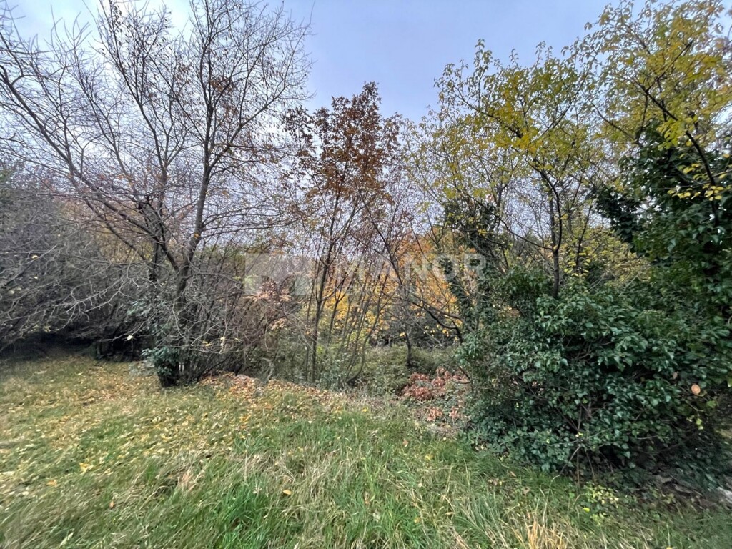 Image 6189472 - 3