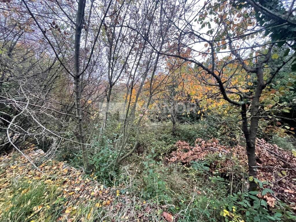 Image 6189472 - 2