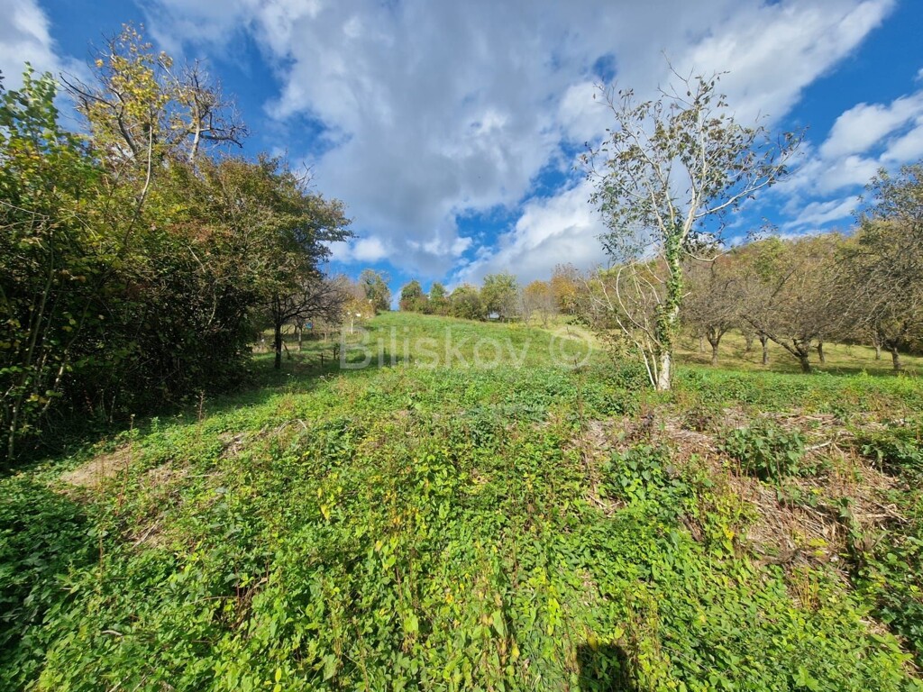 Image 6189975 - 3