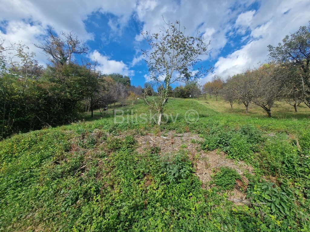 Image 6189975 - 4
