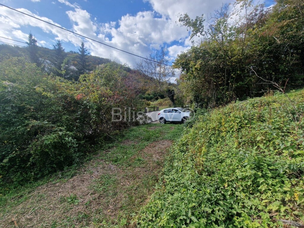 Image 6189975 - 2