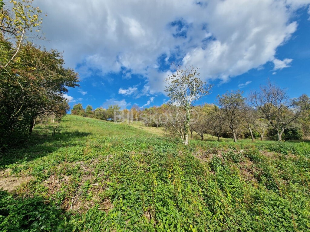Image 6189975 - 1