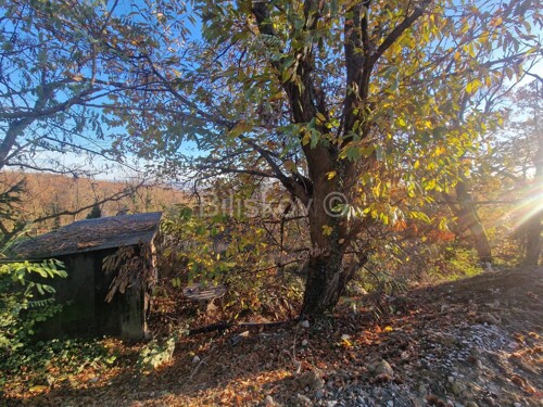 Thumbnail 6189976 - 1