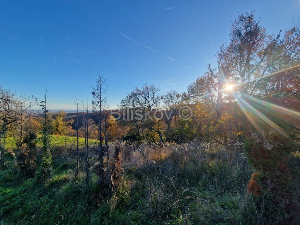 Image 6189976 - 2
