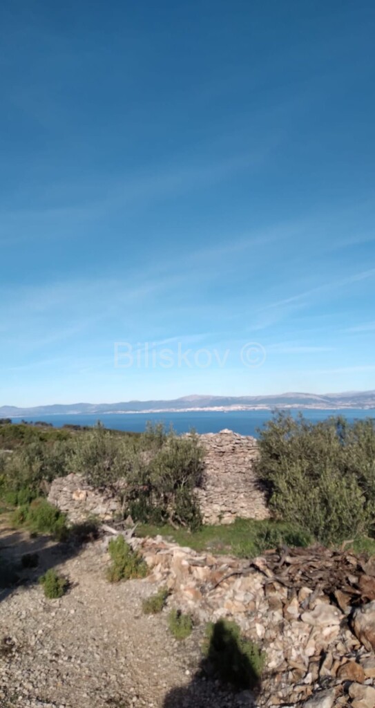 Image 6189977 - 1