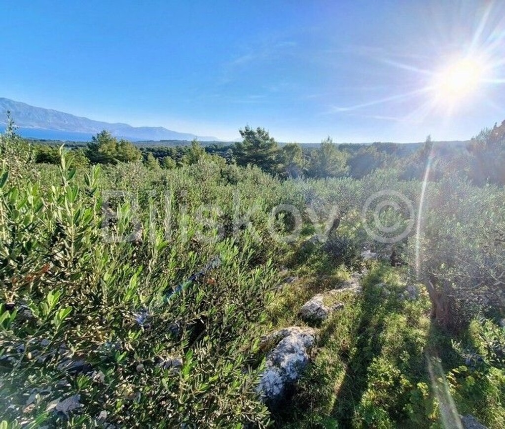 Image 6189981 - 1
