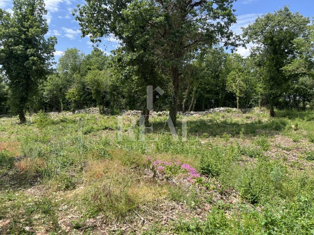 Image 6190002 - 1