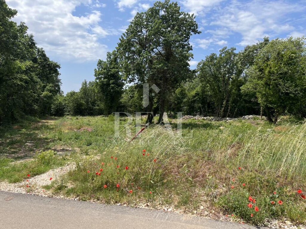 Image 6190002 - 2