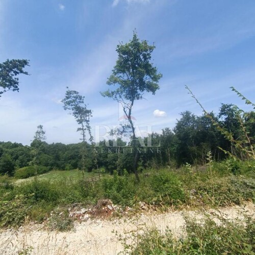 Thumbnail 6190002 - 5