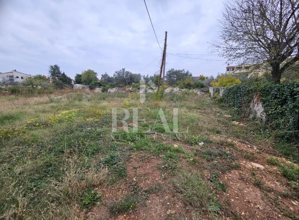 Image 6190004 - 4