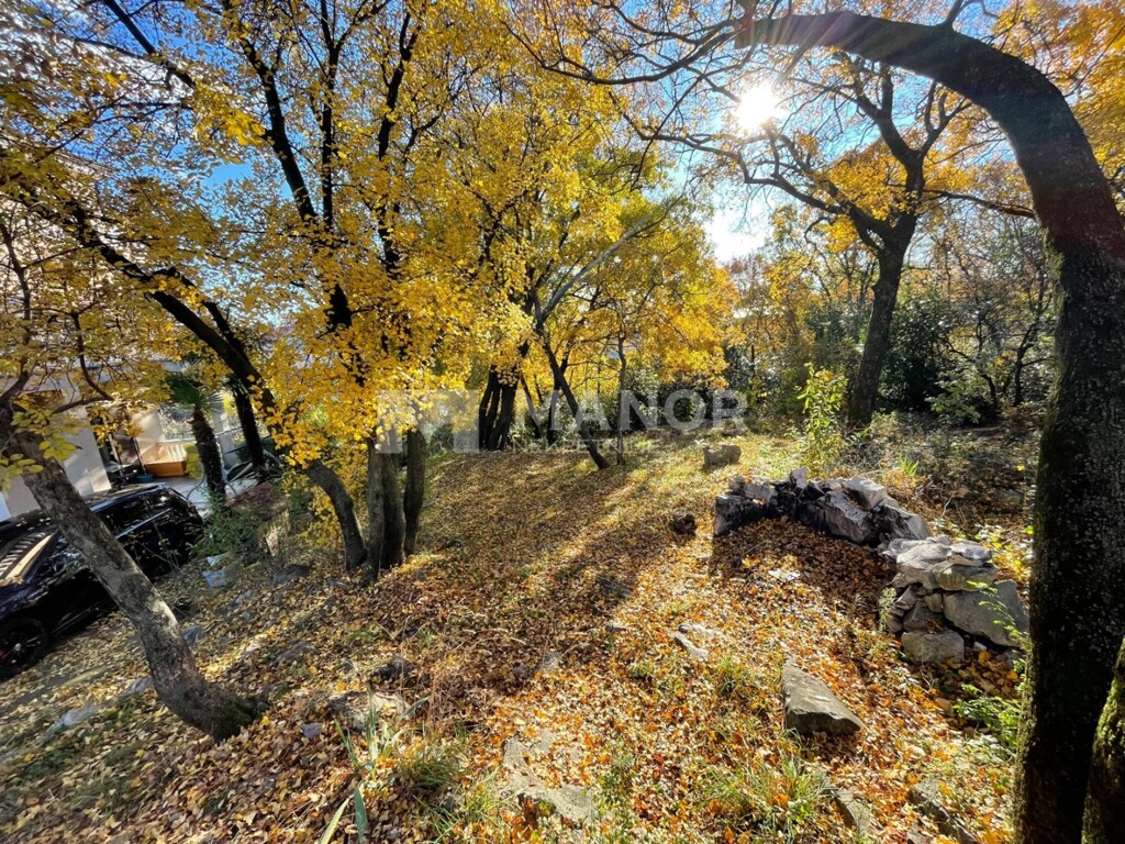 Image 6190092 - 9