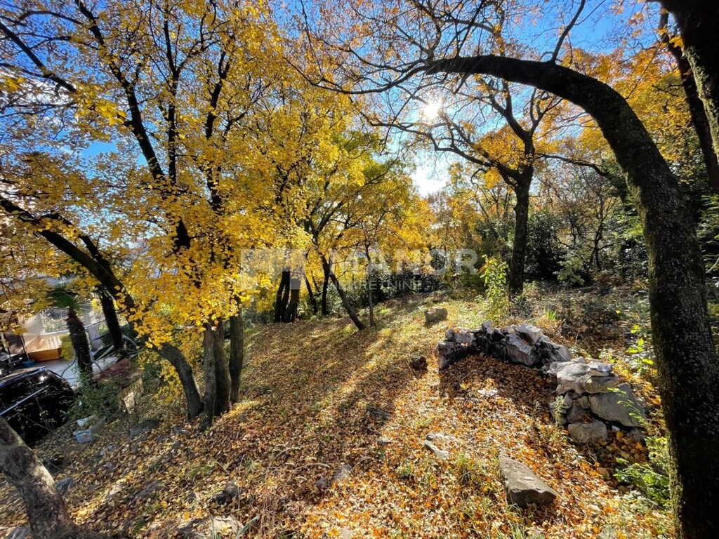 Image 6190092 - 10