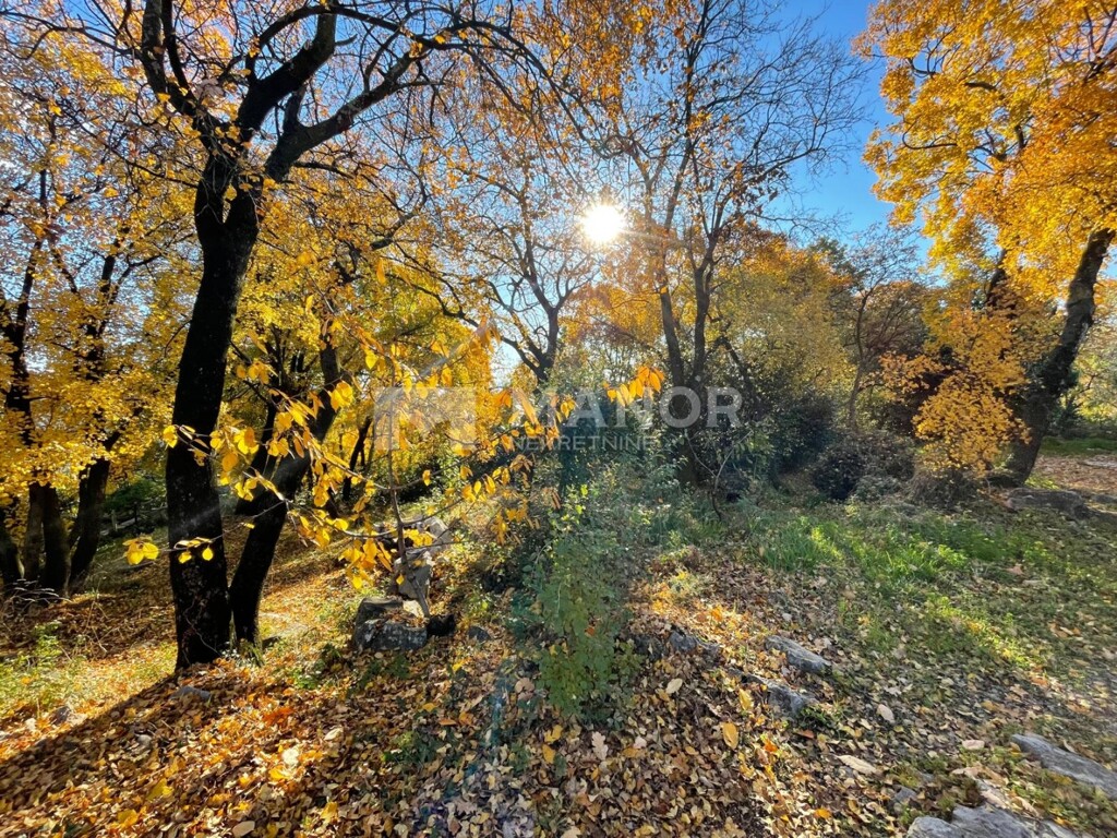 Image 6190092 - 7