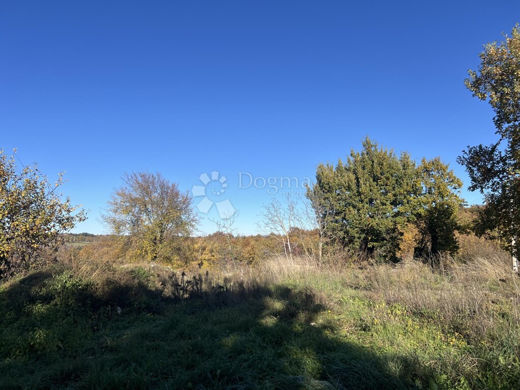 Image 6190326 - 2