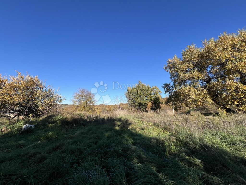 Image 6190326 - 3