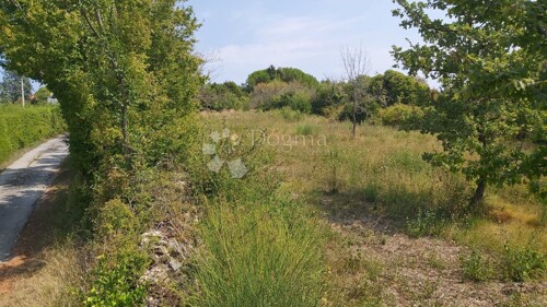 Građevinsko zemljište na mirnoj lokaciji, 900 m²