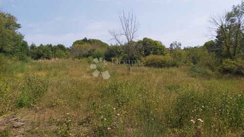 Građevinsko zemljište na mirnoj lokaciji, 900 m²