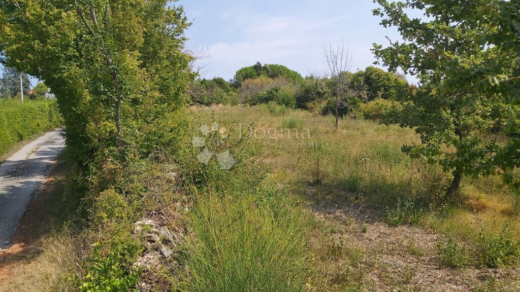 Image 6190363 - 3