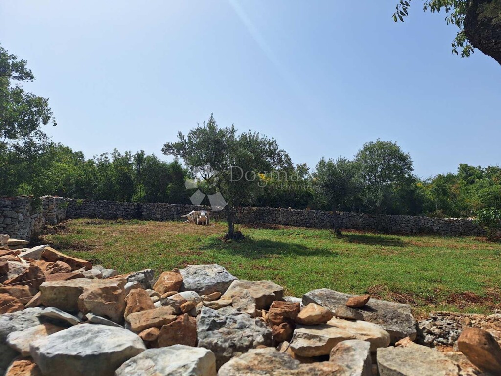 Image 6190368 - 2