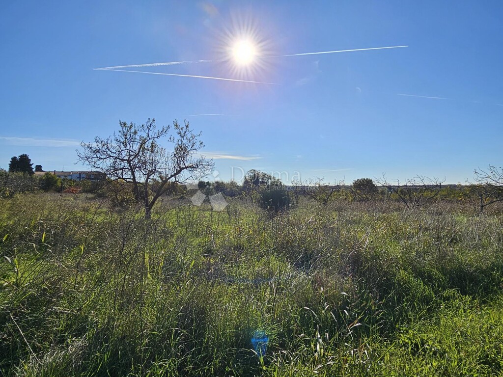 Image 6190385 - 1