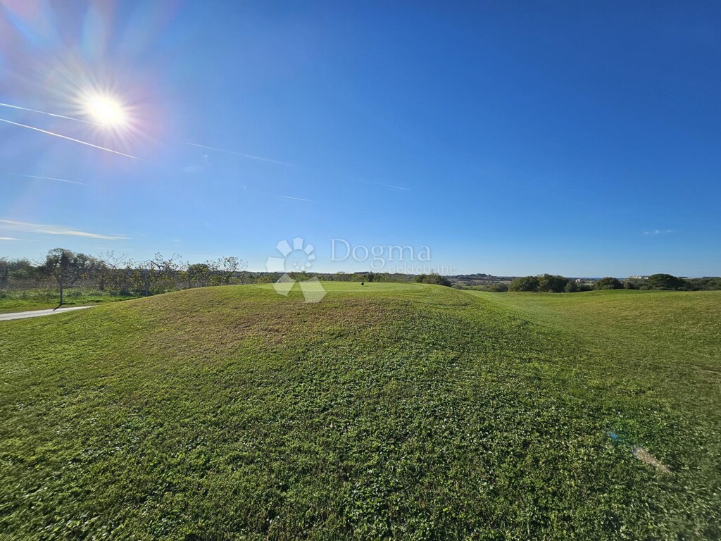 Image 6190385 - 5