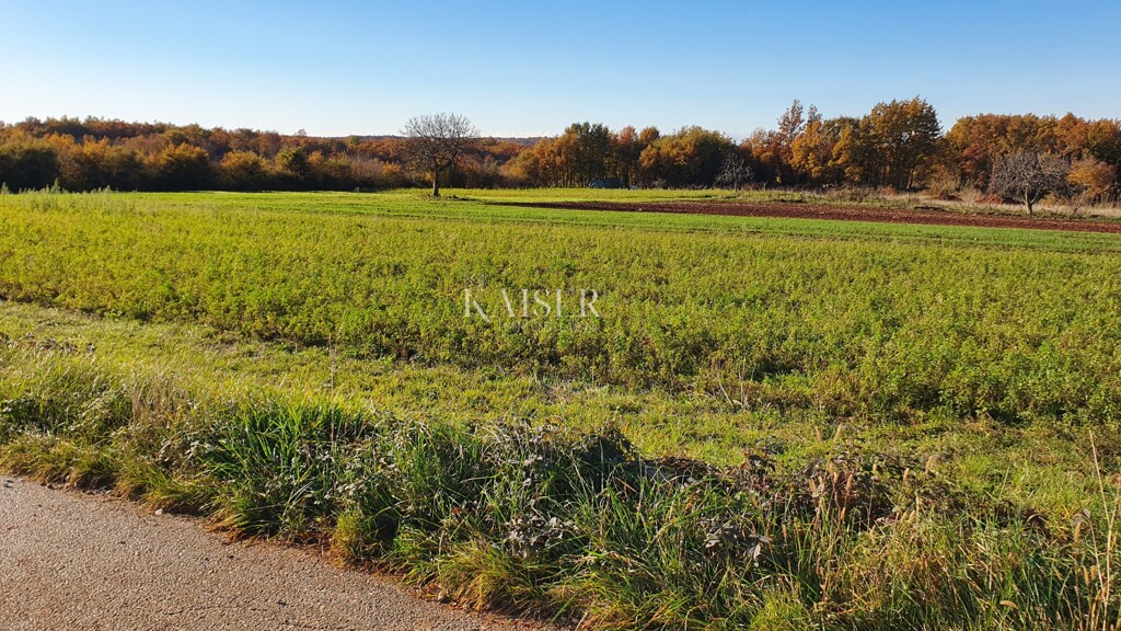 Image 6190417 - 14