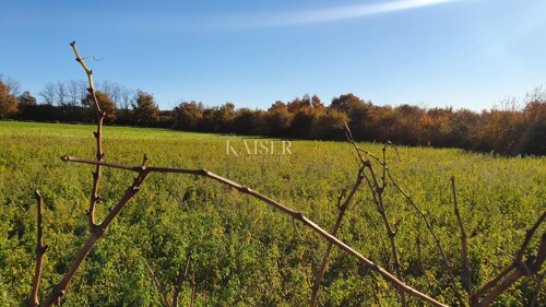 Thumbnail 6190417 - 6