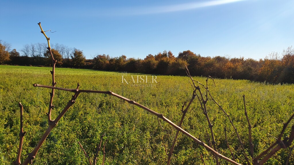 Image 6190417 - 6