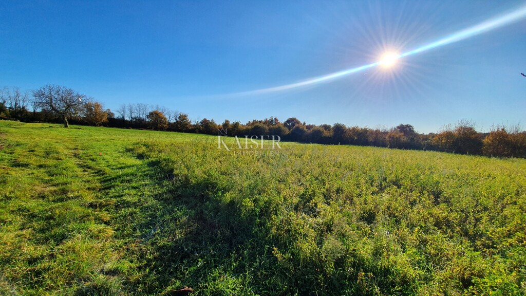 Image 6190417 - 9