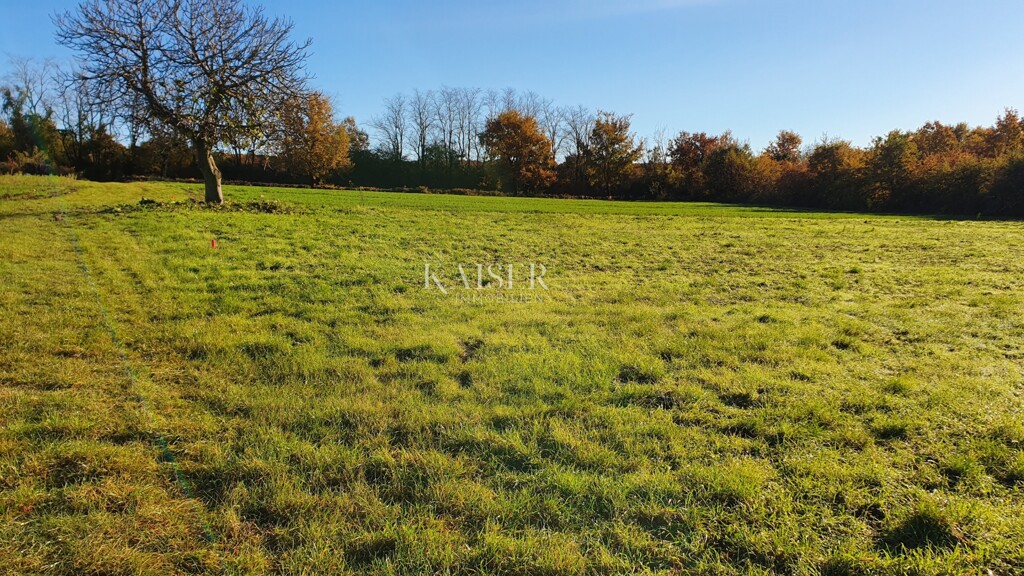 Image 6190417 - 11