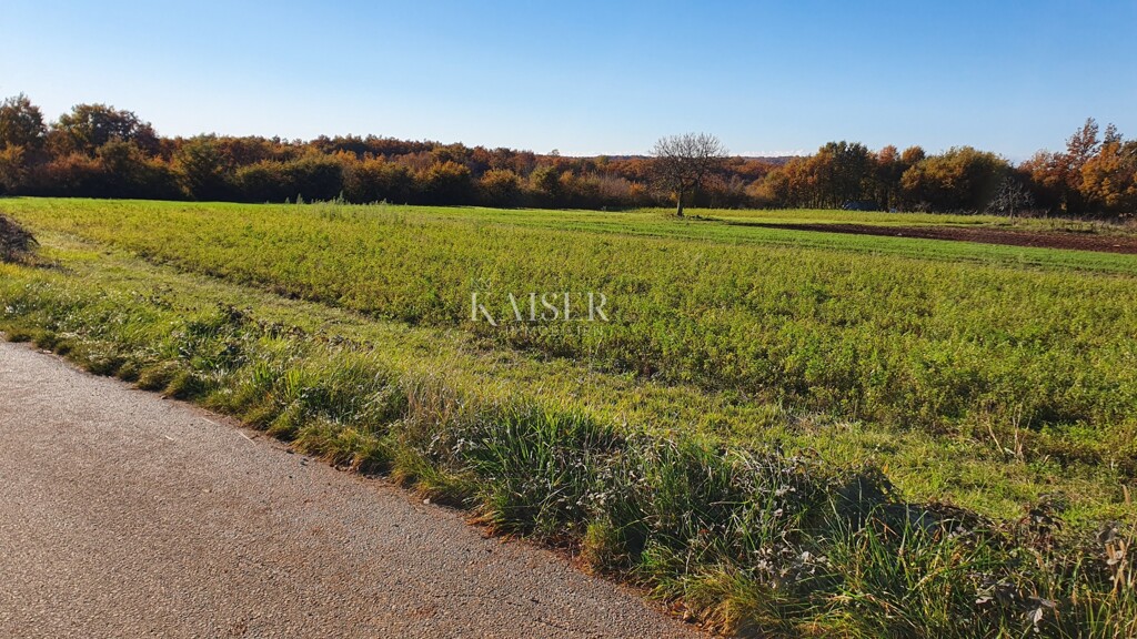Image 6190418 - 6