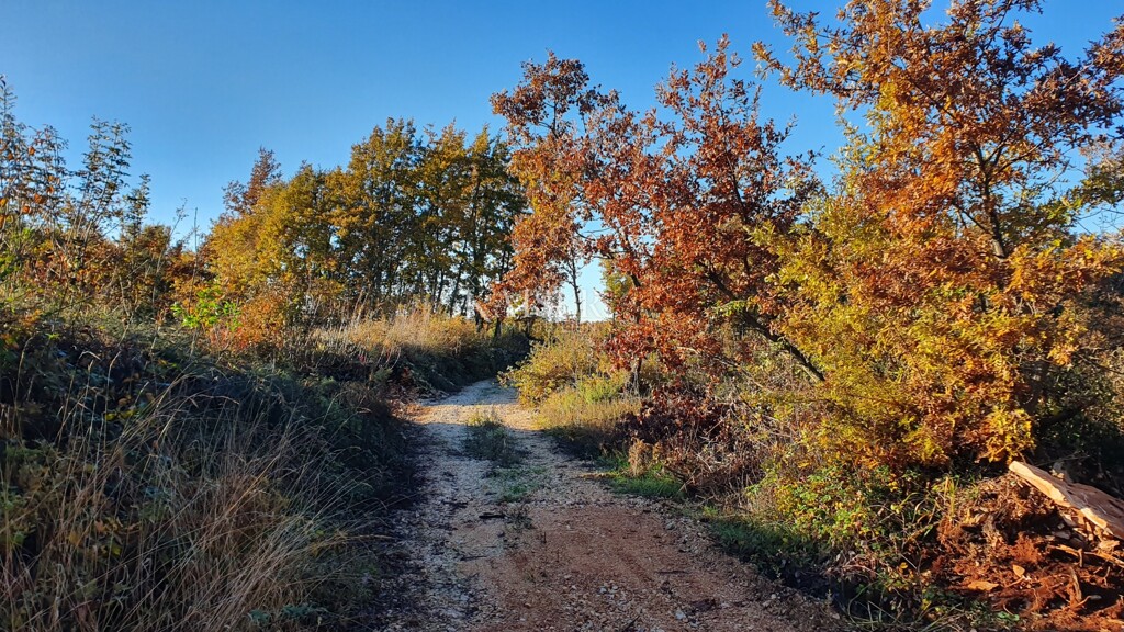 Image 6190419 - 8