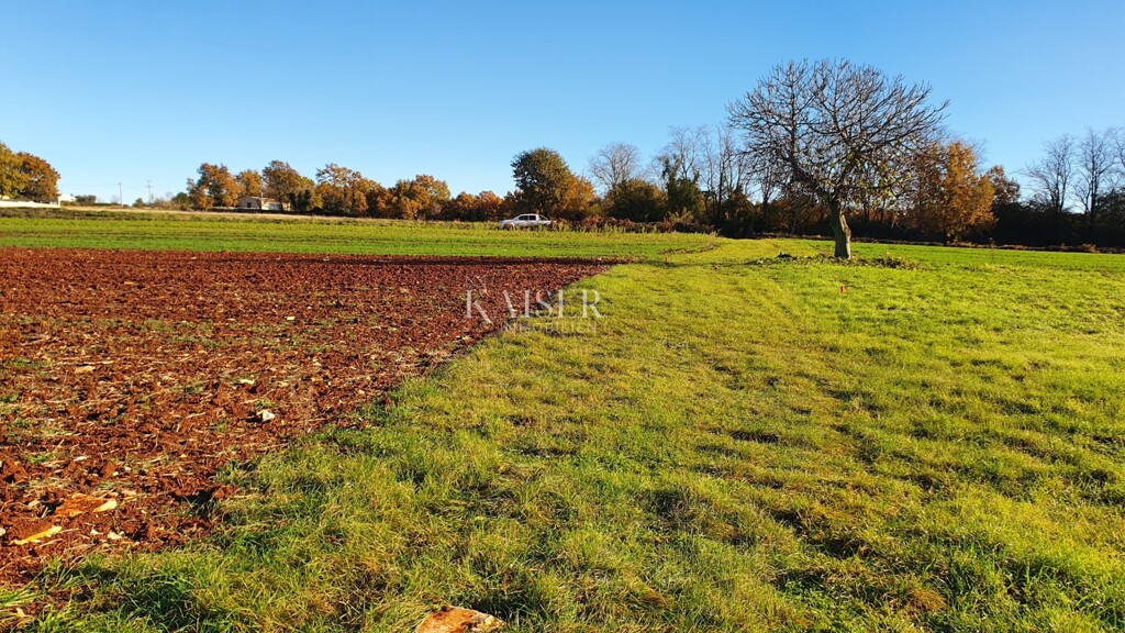 Image 6190419 - 5