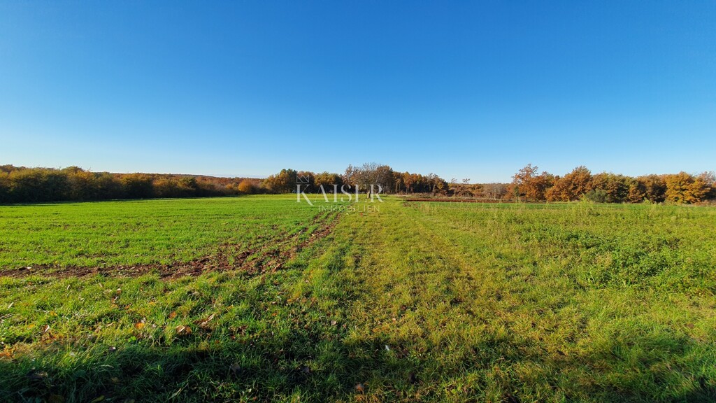 Image 6190419 - 11