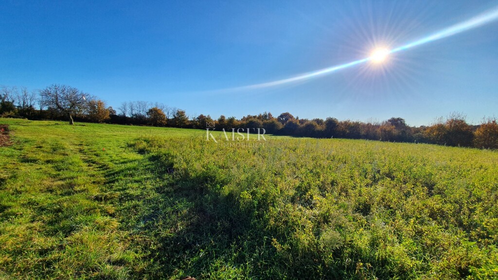 Image 6190419 - 4