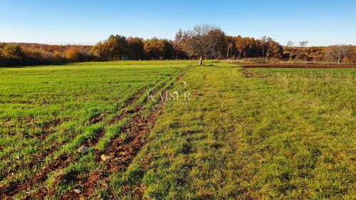 Thumbnail 6190419 - 10