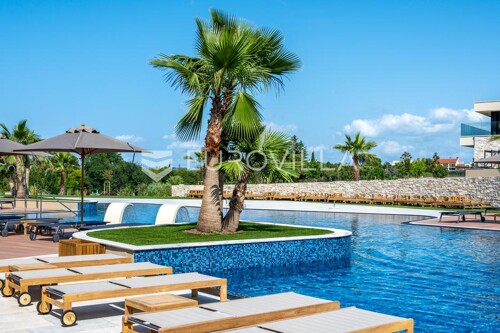 Thumbnail 6191246 - 13