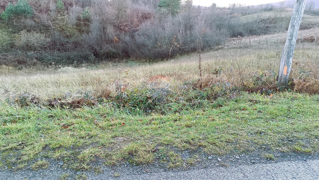 Image 6191399 - 3