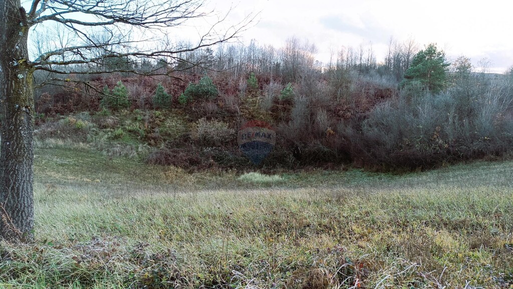 Image 6191399 - 5