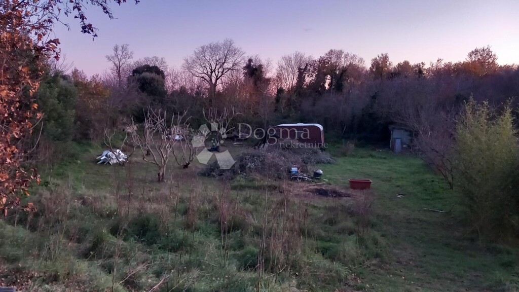 Image 6191841 - 10