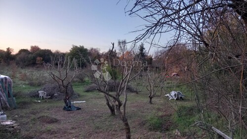 Thumbnail 6191841 - 5