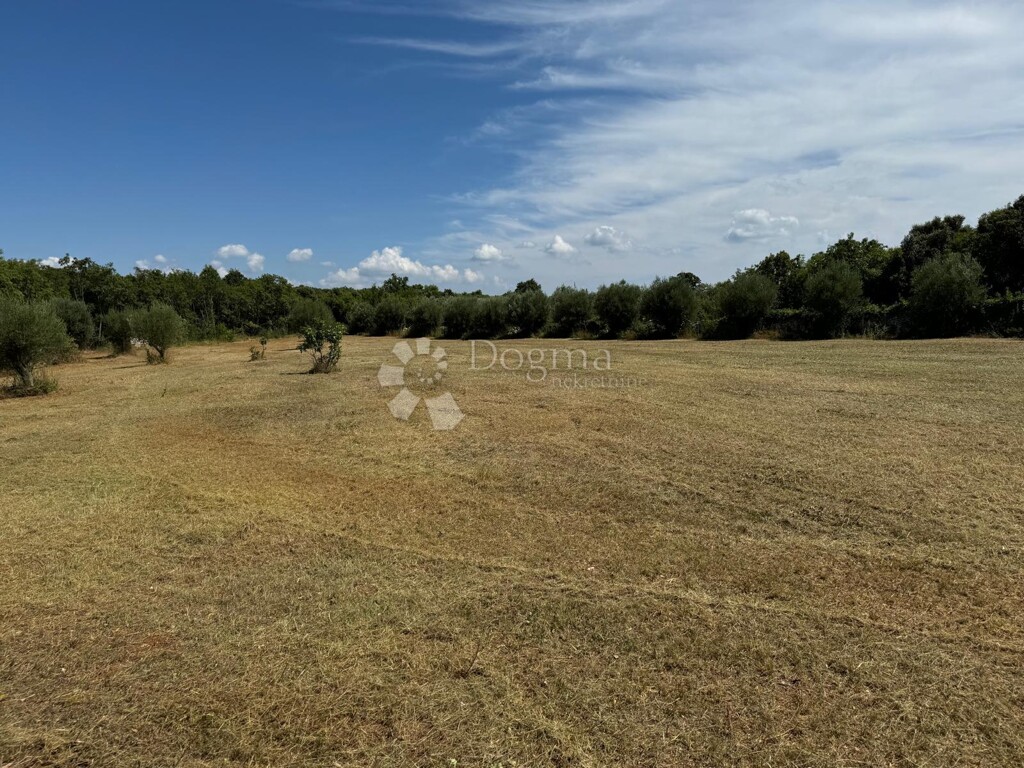 Image 6191848 - 4