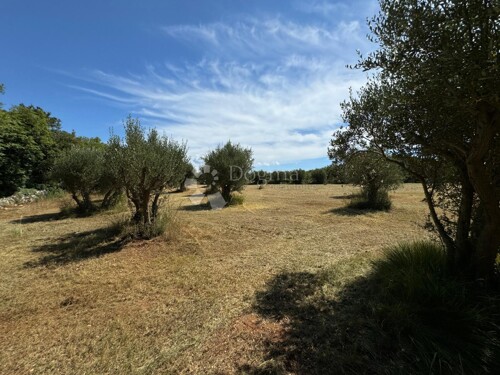 Thumbnail 6191848 - 3