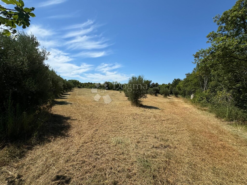 Image 6191848 - 6